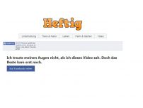 Bild zum Artikel: Ich traute meinen Augen nicht, als ich diese Video sah. Doch das Beste kam erst noch.