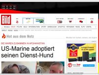 Bild zum Artikel: US-Marine adoptiert seinen Dienst-Hund