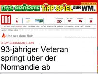 Bild zum Artikel: 93-jähriger US-Veteran springt Fallschirm