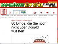 Bild zum Artikel: 80 Dinge, die Sie noch nicht über ihn wussten!