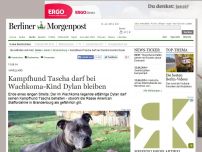Bild zum Artikel: Havelland: Kampfhund Tascha darf bei Wachkoma-Kind Dylan bleiben