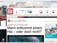 Bild zum Artikel: Verwirrung um Video - Mann entkommt Hai – oder doch nicht?