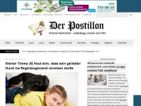 Bild zum Artikel: Kleiner Timmy (9) freut sich, dass sein geliebter Hund ins Regenbogenland verreisen durfte