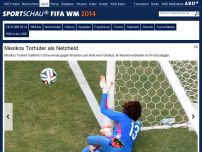 Bild zum Artikel: Guillermo Ochoa: Mexikos Torhüter als Netzheld