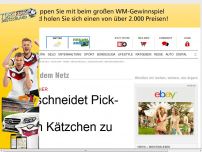 Bild zum Artikel: Blinder Passagier - Mann schneidet Truck auf um Kätzchen zu retten