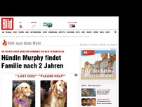 Bild zum Artikel: Sie folgte ihrer Nase - Hündin Murphy findet Familie nach 2 Jahren