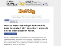 Bild zum Artikel: Manche Menschen mögen keine Hunde. Aber das ändert sich garantiert, wenn sie dieses Video gesehen haben.