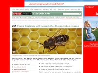 Bild zum Artikel: Landesweite Strategie: USA wollen massenhaftes Bienensterben stoppen