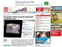 Bild zum Artikel: Tierquäler-Video schockt zahlreiche Facebook-User