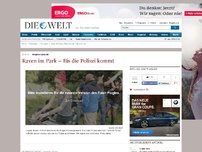 Bild zum Artikel: Illegales Open Air: Raven im Park – Bis die Polizei kommt