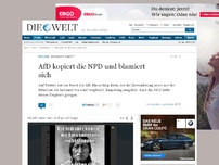 Bild zum Artikel: Indianer-Tweet: AfD kopiert die NPD und blamiert sich