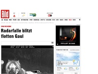 Bild zum Artikel: Eppstein - Radarfalle blitzt flotten Gaul