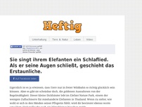 Bild zum Artikel: Sie singt ihrem Elefanten ein Schlaflied. Als er seine Augen schließt, geschieht das Erstaunliche.