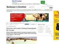 Bild zum Artikel: Urlaub mit Haustier: Spanien hat ersten Wasserfreizeitpark für Hunde