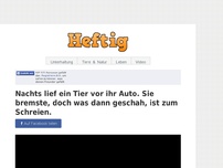 Bild zum Artikel: Nachts lief ein Tier vor ihr Auto. Sie bremste, doch was dann geschah, ist zum Schreien.