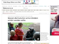 Bild zum Artikel: Interview zum Unterricht in der Grundschule: Warum die Evolution schon Kindern erklärt werden sollte