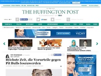 Bild zum Artikel: Höchste Zeit, die Vorurteile gegen Pit Bulls loszuwerden