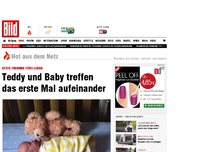 Bild zum Artikel: Die erste Begegnung zwischen Teddy und Baby