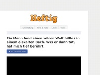 Bild zum Artikel: Ein Mann fand einen wilden Wolf hilflos in einem eiskalten Bach. Was er dann tat, hat mich tief berührt.