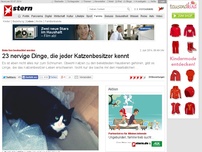 Bild zum Artikel: Beim Sex beobachtet werden: 23 nervige Dinge, die jeder Katzenbesitzer kennt