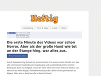 Bild zum Artikel: Die erste Minute des Videos war schon Horror. Aber als der große Hund wie tot an der Stange hing, war alles aus.