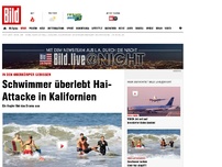 Bild zum Artikel: In Oberkörper gebissen - Schwimmer überlebt Hai-Attacke in Kalifornien