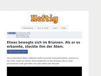 Bild zum Artikel: Etwas bewegte sich im Brunnen. Als er es erkannte, stockte ihm der Atem.