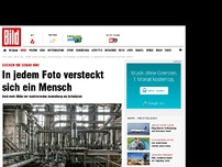 Bild zum Artikel: Gucken Sie genau hin! - In jedem Foto versteckt sich ein Mensch