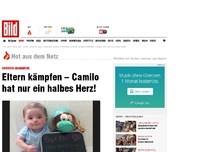 Bild zum Artikel: Camilo hat nur ein halbes Herz!