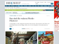 Bild zum Artikel: Pferdepfleger: Das sind die wahren Pferde-Flüsterer