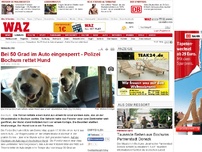 Bild zum Artikel: Bei 50 Grad im Auto eingesperrt - Polizei Bochum rettet Hund