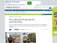 Bild zum Artikel: Hamas und Israel: Der entfesselte Zwerg und der gefesselte Riese