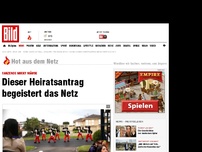 Bild zum Artikel: Dieser Heiratsantrag begeistert das Netz