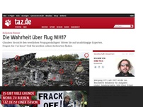 Bild zum Artikel: Kolumne Besser: Die Wahrheit über Flug MH17