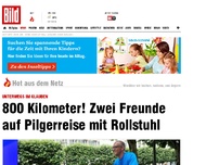 Bild zum Artikel: 800 Kilometer! - Zwei Freunde auf Pilgerreise mit Rollstuhl