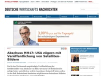 Bild zum Artikel: Abschuss MH17: USA zögern mit Veröffentlichung von Satelliten-Bildern