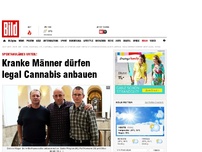 Bild zum Artikel: Kranke Männer dürfen legal kiffen!