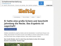 Bild zum Artikel: Er hatte eine große Schere und beschnitt jahrelang die Hecke. Das Ergebnis ist sagenhaft!