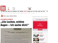 Bild zum Artikel: Suche nach der Traumfrau - „Lila Locken, schöne Augen – Ich suche dich!“