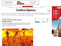 Bild zum Artikel: 16 Kilogramm Hanf gefunden: Student baut zwei fast perfekte Hanfplantagen