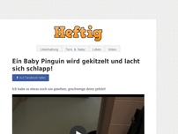 Bild zum Artikel: Ein Baby Pinguin wird gekitzelt und lacht sich schlapp!
