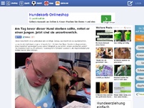 Bild zum Artikel: Am Tag bevor dieser Hund sterben sollte, rettet er einen Jungen. Jetzt sind sie unzertrennlich. 0 NOTES