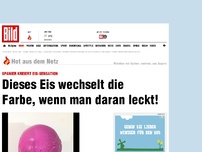 Bild zum Artikel: Eis-Sensation - Wenn Sie lecken, wechselt es die Farbe