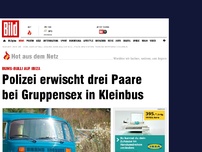 Bild zum Artikel: Bums-Bulli auf Ibiza - Polizei erwischt drei Paare bei Gruppensex in Kleinbus