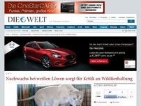 Bild zum Artikel: Tierschutzbund kritisiert Haltung von weißen Löwen