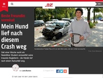 Bild zum Artikel: Mein Hund lief nach diesem Crash weg