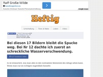 Bild zum Artikel: Bei diesen 17 Bildern bleibt die Spucke weg. Bei Nr 10 dachte ich zuerst an schreckliche...