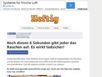 Bild zum Artikel: Nach diesen 6 Sekunden gibt jeder das Rauchen auf. Es wirkt todsicher!