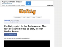 Bild zum Artikel: Ein Baby spielt in der Badewanne. Aber laut Loslachen muss es erst, als der Dackel kommt.