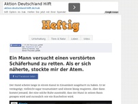 Bild zum Artikel: Ein Mann versucht einen verstörten Schäferhund zu retten. Als er sich näherte, stockte mir der Atem.